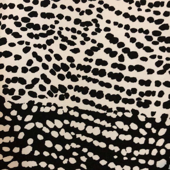 Kasper - Picture 4 of 4